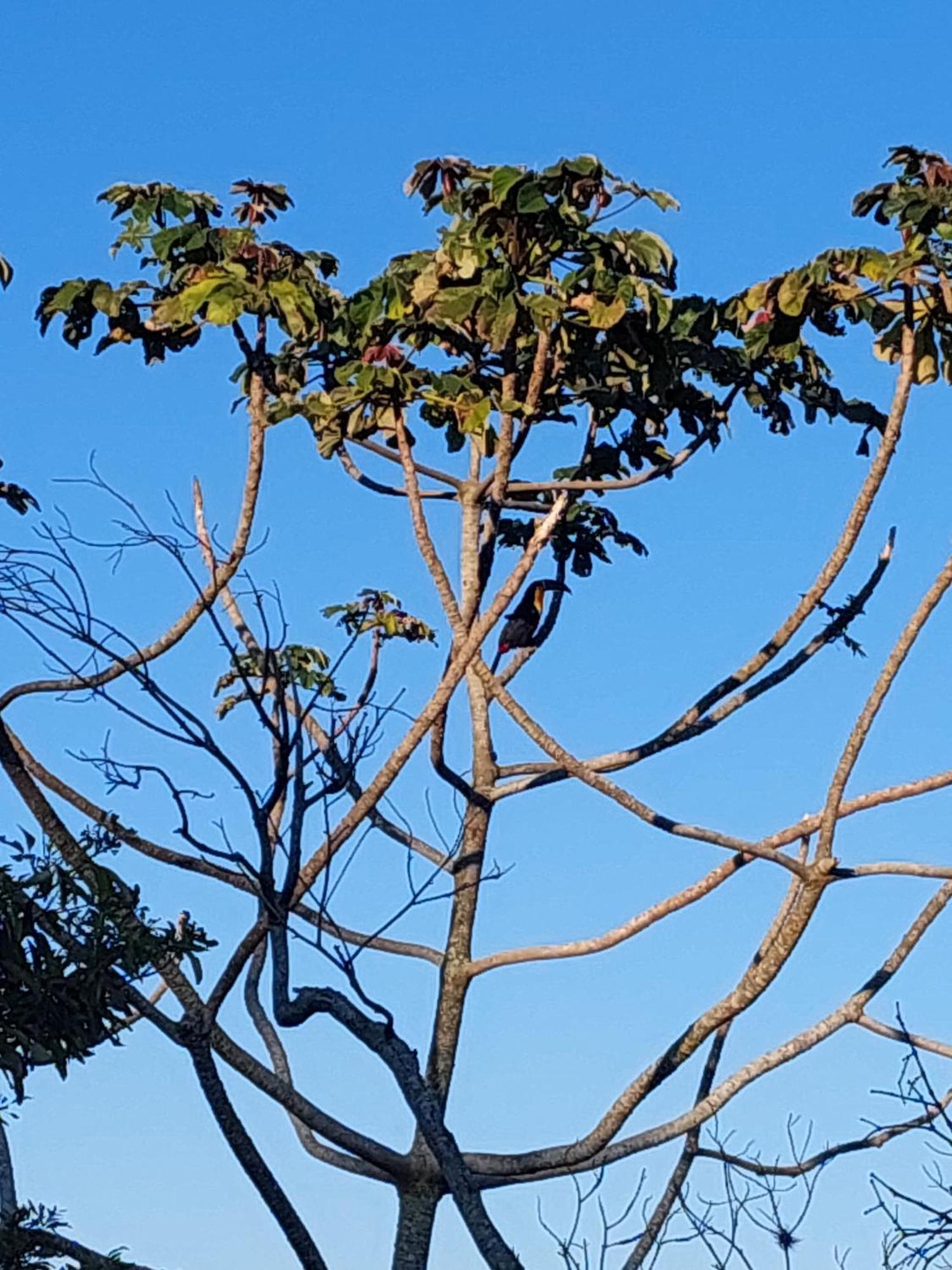 Chale Com Hidromassagem Hotell Florianópolis Eksteriør bilde